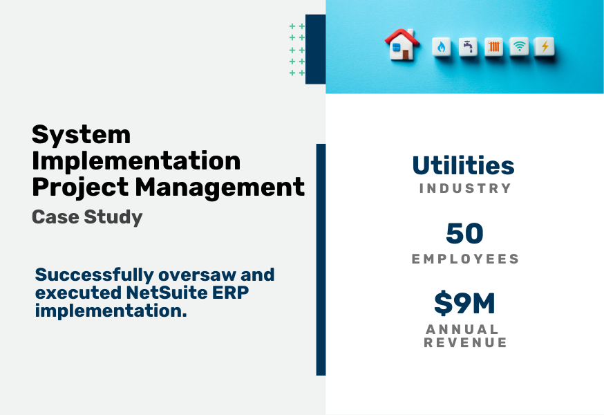 System Implementation Project Management Case Study